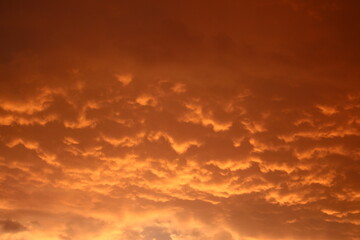 Naklejka na ściany i meble Bright orange cumulus clouds in the sky during a fiery sunset