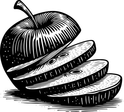 Vector illustration of apple cut into horizontal slices, black and white on white background