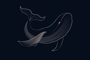 whale line art illustration