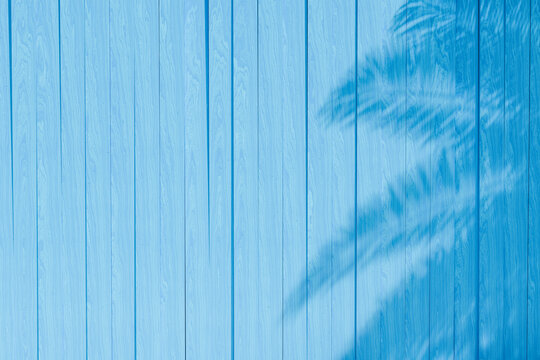 palm tree shadow cast on a vibrant blue wooden textured background. Summer concept. © TheCatEmpire Studio