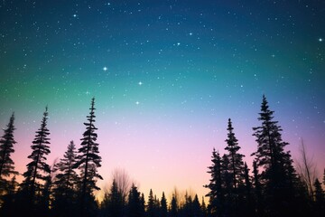 Fototapeta na wymiar aurora over dark pine forest silhouette with a starry backdrop