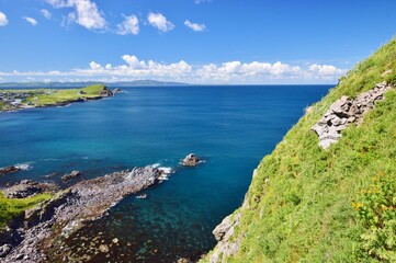利尻島の夏景色