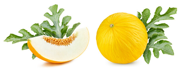 Fresh organic melon isolated