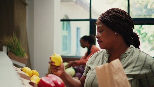 Customer smelling fresh ripe lemons from local garden, enjoying natural bio citric aroma and deciding to buy homegrown fruits. African american person choosing the perfect produce. Tripod shot.