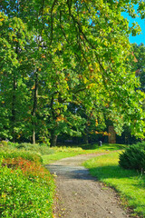 Obraz premium Beautiful hiking trail in the park in spring.