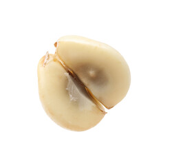 Piece of fresh salak fruit isolated on white