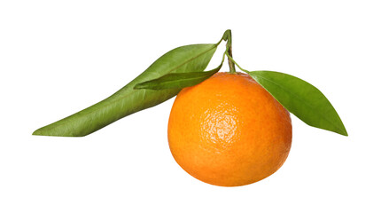 One fresh tangerine with green leaves isolated on white