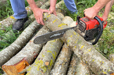 Woodcutter with Chainsaw on forest work. Preparing firewood for winter in village. Chainsaw cutting tree wood log. Cutting logs use chainsaw. Timber logging and illegal deforestation. Felled tree