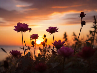 sunset bloom symphony