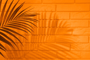 Obraz premium Shadow cast by tropical palm on orange brick wall, space for text