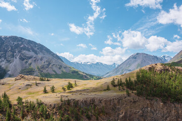 View above cliff to alpine green valley and large mountain range with snowy top far away. Sparse conifer trees on precipice edge in high mountains. Open coniferous forest on rocky wall above abyss.
