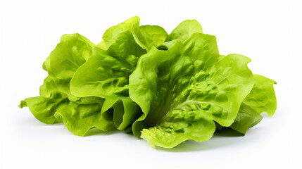 Lettuce