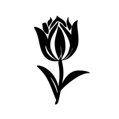 Tulip flower silhouette