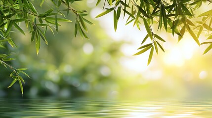 green bamboo leaves over sunny water surface background banner, beautiful spa nature scene with asian spirit and copy space