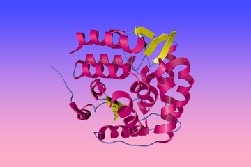 Human tryptophan hydroxylase 1 in complex with inhibitor. Ribbons diagram in secondary structure coloring based on protein data bank entry 8cjn. Scientific background. 3d illustration