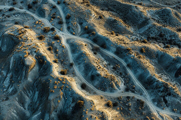 Paths • Where Will Your Imagination Take You?