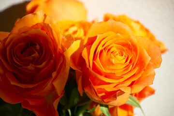 オレンジ色のバラ