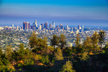 Los Angeles skyline photographed from Griffith Park.
