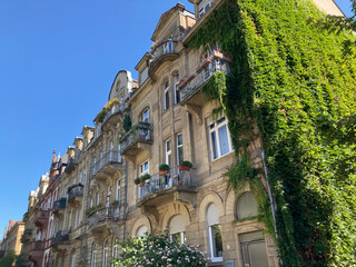 Altbaufassaden und Straßenbegrünung in Heidelberg