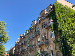 Altbaufassaden und Straßenbegrünung in Heidelberg