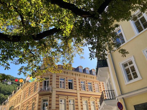 Altbaufassaden und Straßenbegrünung in Heidelberg
