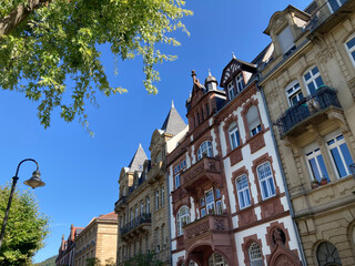 Altbaufassaden und Straßenbegrünung in Heidelberg