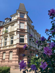 Altbau-Eckhaus mit Blumen und Straßenbegrünung in Heidelberg

