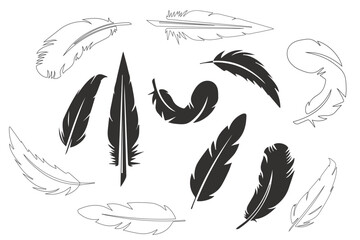 Set of black bird  feather in a flat style. Black quill feather silhouette. Plumelet collection. Vector icon logo isolated on white background