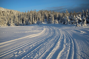 Trail for cross-country skiing in the nature reserve of Bymarka, Trondheim, Norway