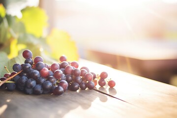 organic sangiovese grapes with a sun flare