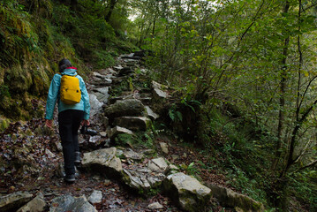 Obraz premium Niña haciendo senderismo en el bosque de Selva Irati, en el norte de Navarra, España en los Pierineos Atlanticos. Principios de otoño. Bosque de hayedo frondoso