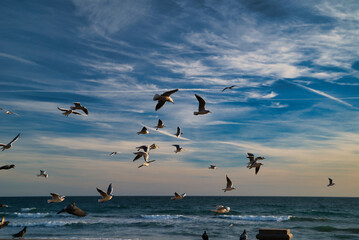 Obraz premium Landscape of the Mediterranean coast in Sitges with seagulls and a blue background with sky and sea.