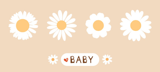Fototapeta premium Set of retro daisy flower on beige background vector illustration.