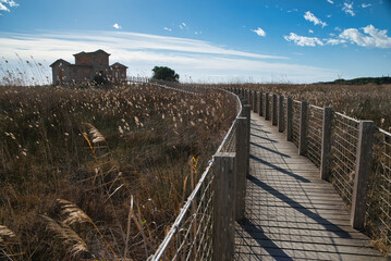 Landscape of the viewpoint of the semaforo with the surrounding vegetation and its ramp built above sea level.
