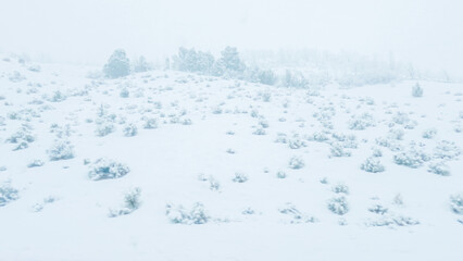 Fototapeta na wymiar Braving a Winter Storm Driving Through Western Colorado