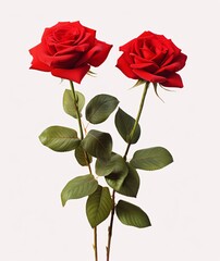 3 red roses with green leaves in a stem