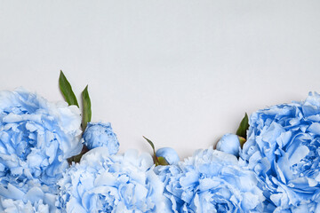 Beautiful light blue peonies on white background © New Africa