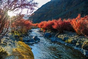 Breathtaking View on the Way to  Tsomoriri Lake © SOURADIP