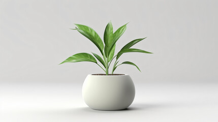 3d render green plant in a clay pot on a white background