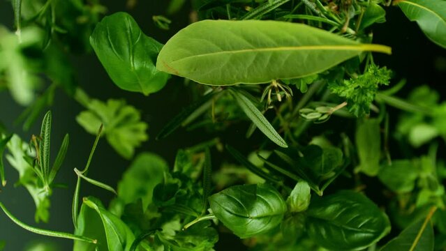 Super Slow Motion of Flying Mix of Fresh Herbs, Isolated on Black Background. Filmed on High Speed Cinema Camera, 1000 fps. Camera Placed on High Speed Cine Bot, Rotating.