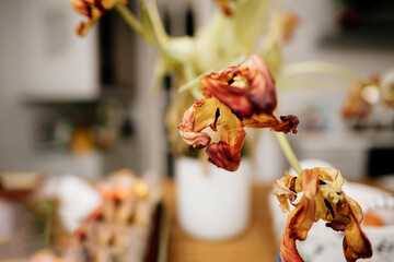 A detailed view of dried tulips gracefully arranged in a vase.