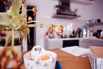 A contemporary kitchen scene, highlighting dried tulips in a vase with modern decor elements,...