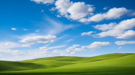 Rolling hills panorama maintaining a healthy eco system , Rolling hills panorama, healthy eco system, hills