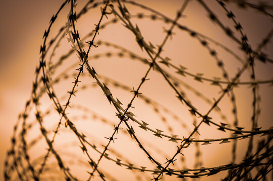 Barbed wire fence on the sunset background
