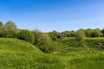 Spring landscape with green hills and lilac bushes under blue sky on clear sunny day. Background, wallpaper