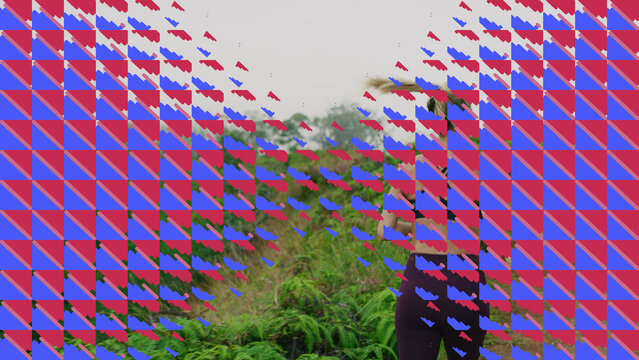 Linear Lattice | Color Control Panel