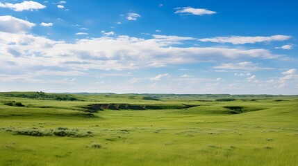 Prairie grasslands view contributing to a healthy ecosystem , Prairie grasslands view, healthy ecosystem, grasslands