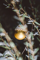 Postcard-like image of a golden globe covered with a layer of snow perched on an evergreen tree, greeting card ready