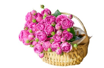 Basket with roses on a white background - flowers and plants