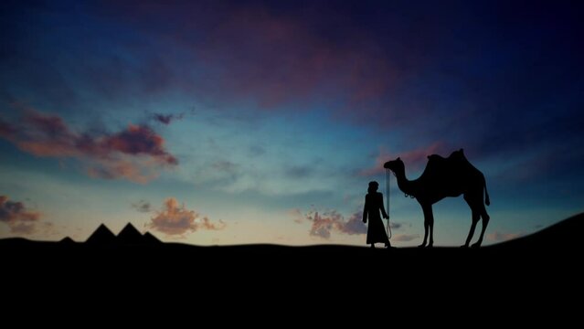 Camel with camel driver against the background of pyramids in the desert sunrise sunset sky